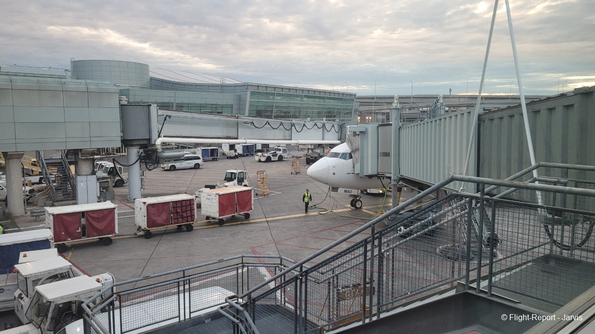 photo 20250819_043408