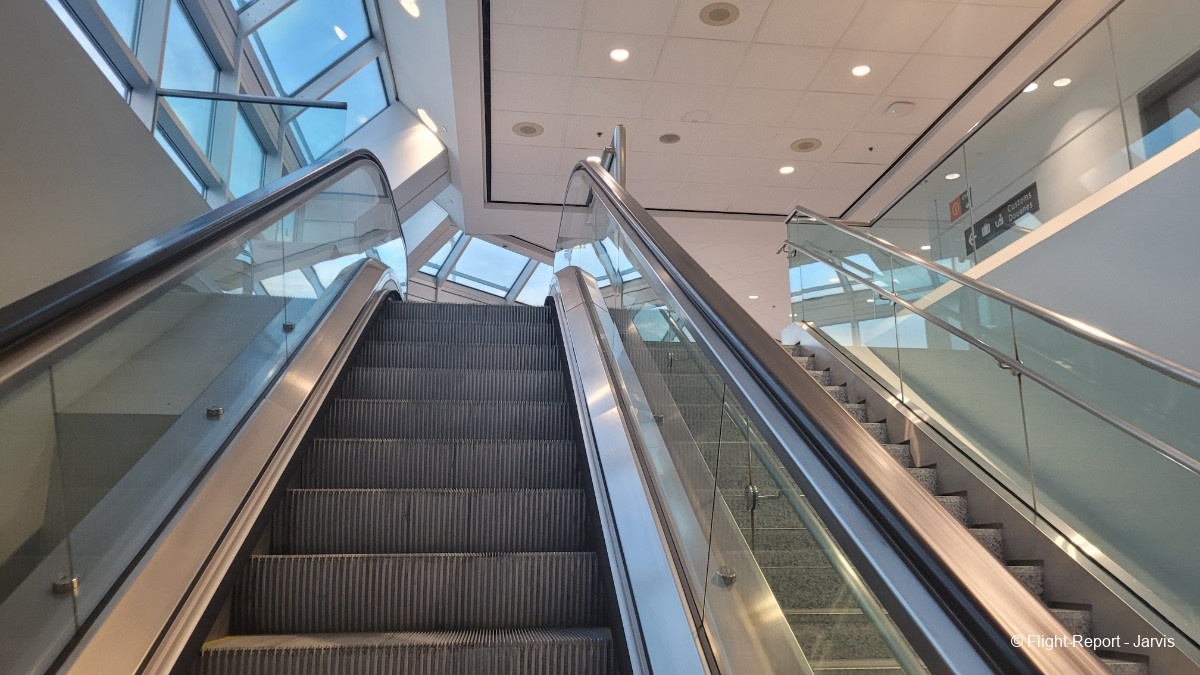 photo 20250819_043457