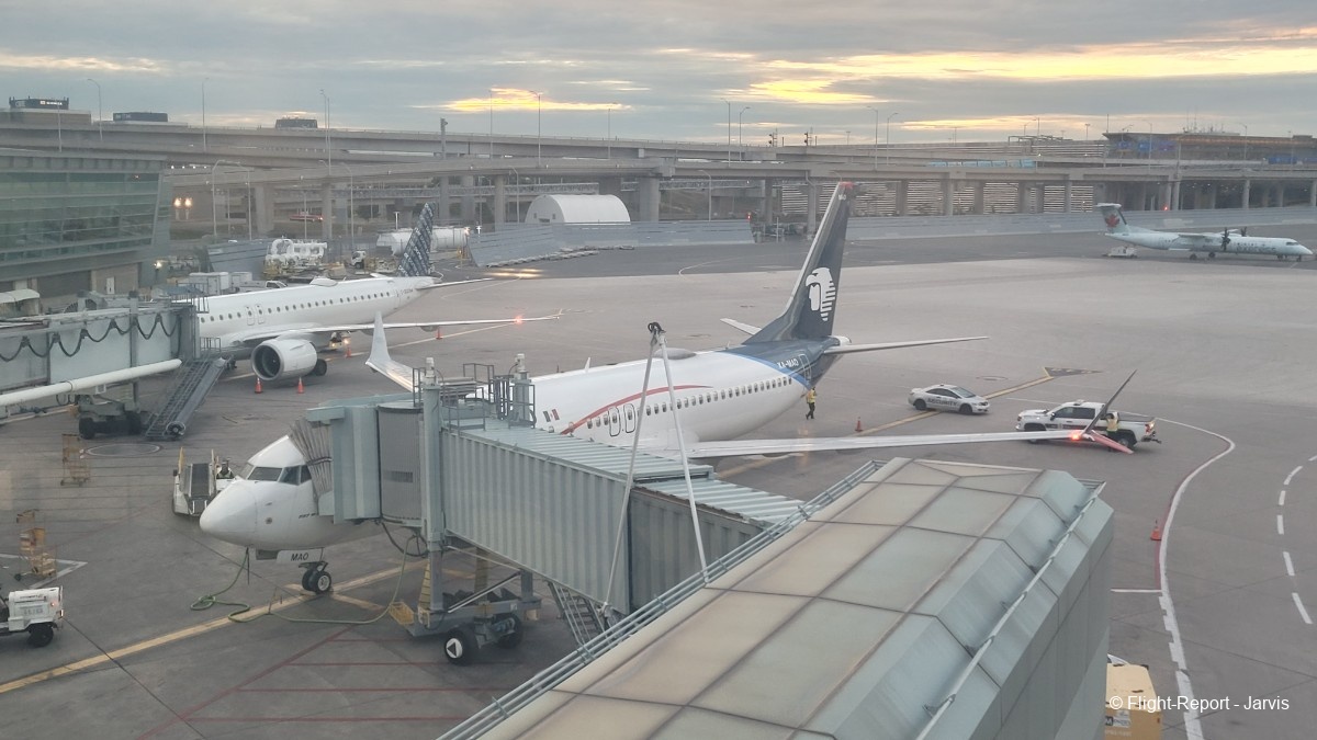 photo 20250819_043525