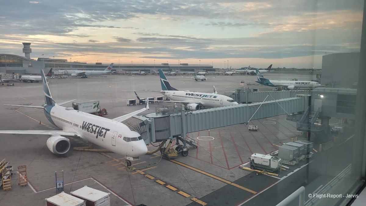 photo 20250819_043546