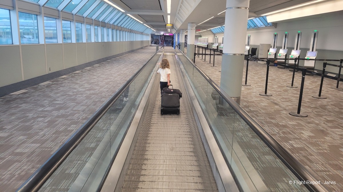 photo 20250819_043654