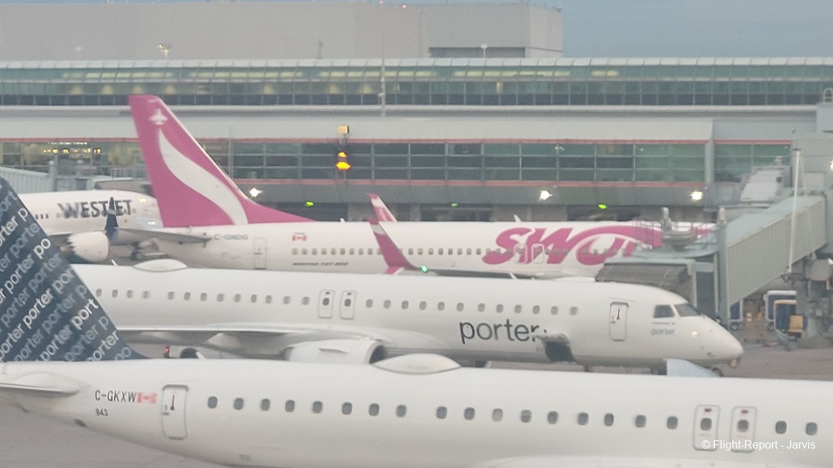 photo 20250819_043754