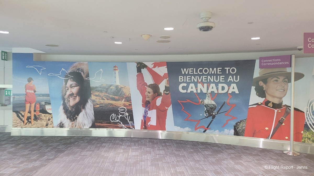 photo 20250819_043918