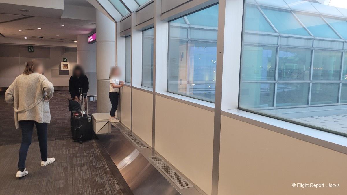 photo 20250819_044011-82598