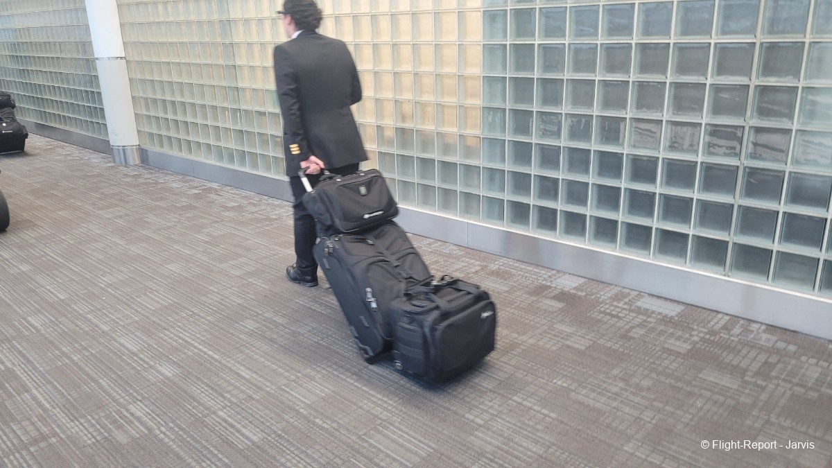 photo 20250819_044107