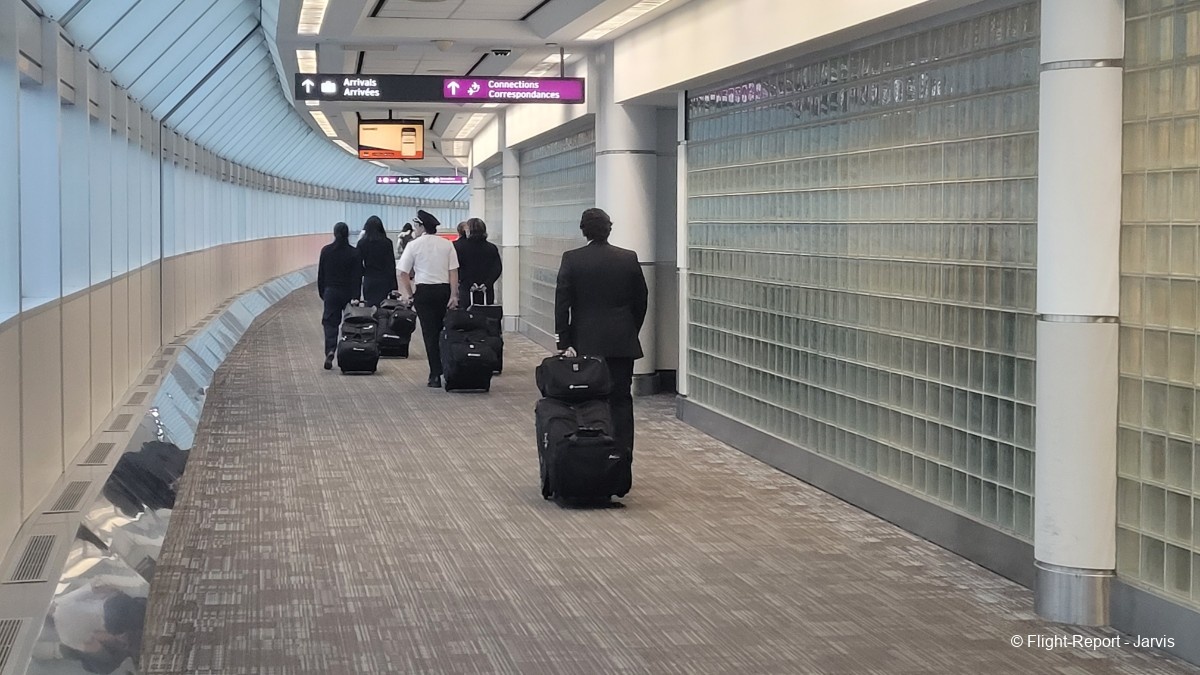 photo 20250819_044115