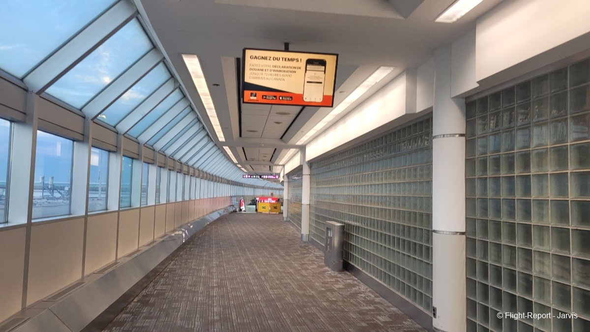 photo 20250819_044342