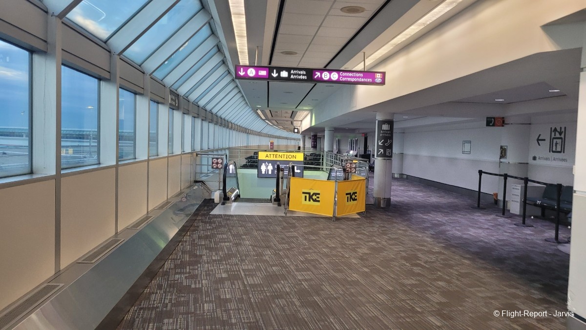 photo 20250819_044402