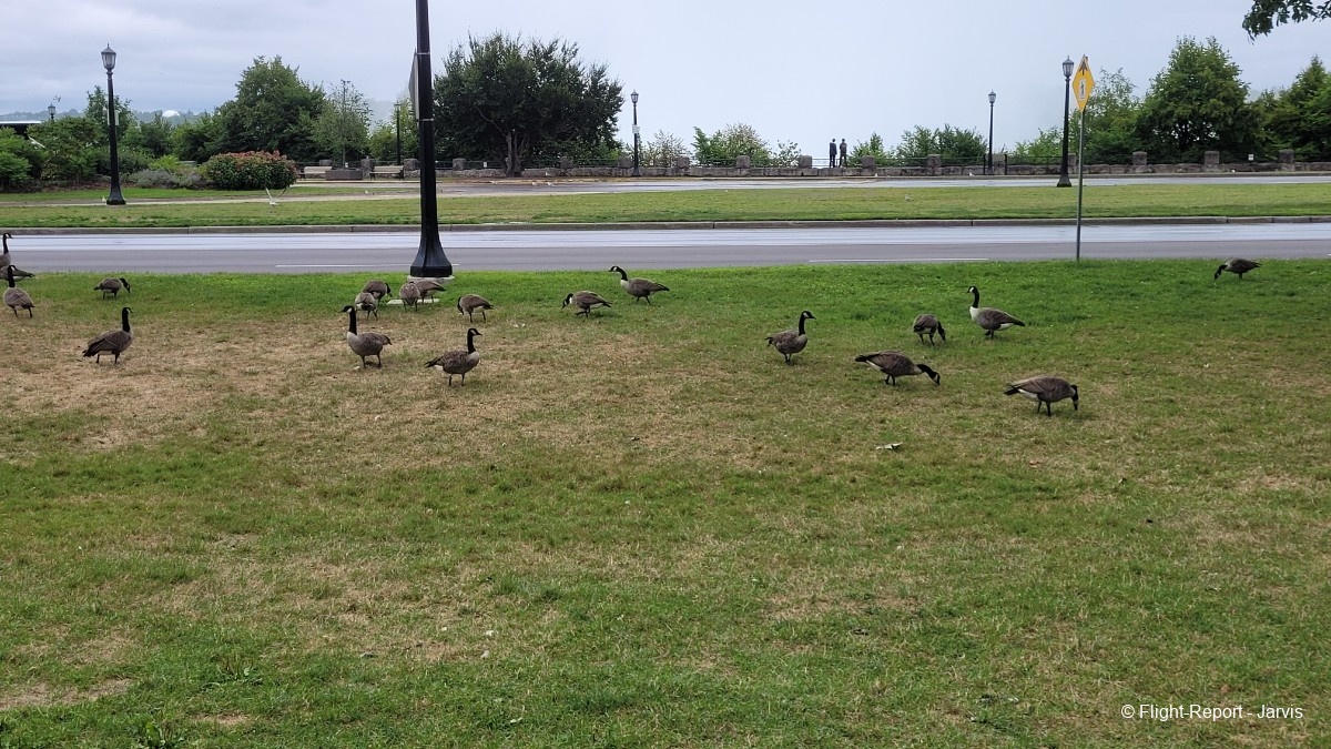 photo 20250820_165200