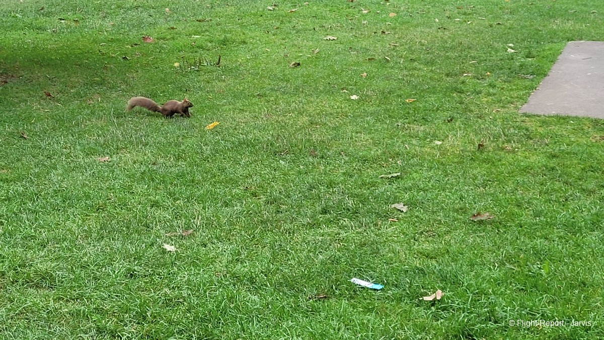 photo 20250820_171107