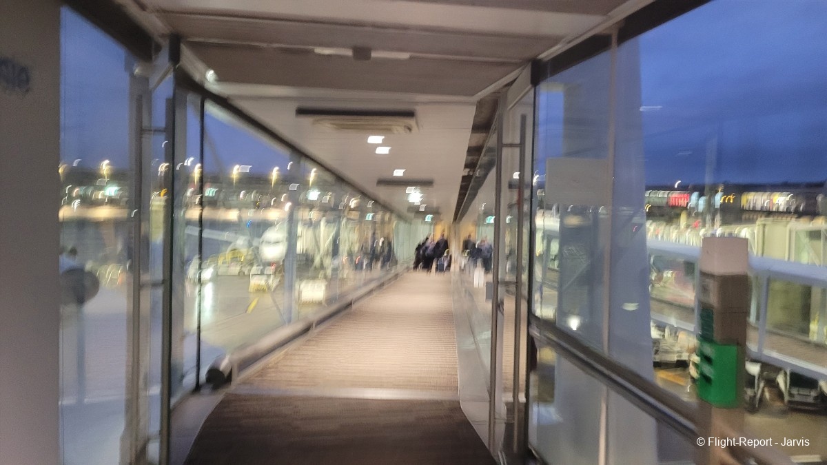 photo 20251125_075119