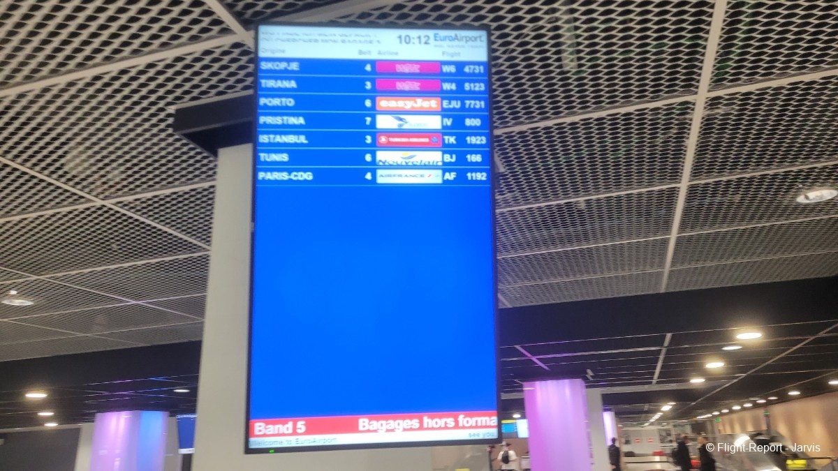 photo 20260207_101255