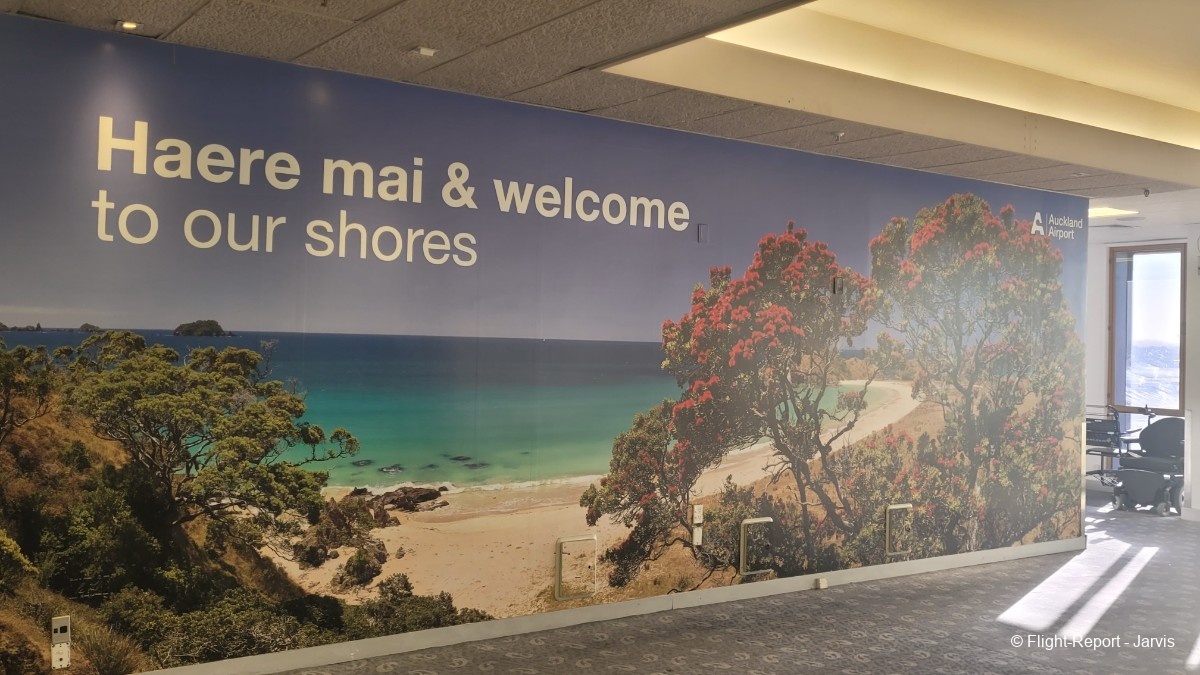 photo 20251031_085849