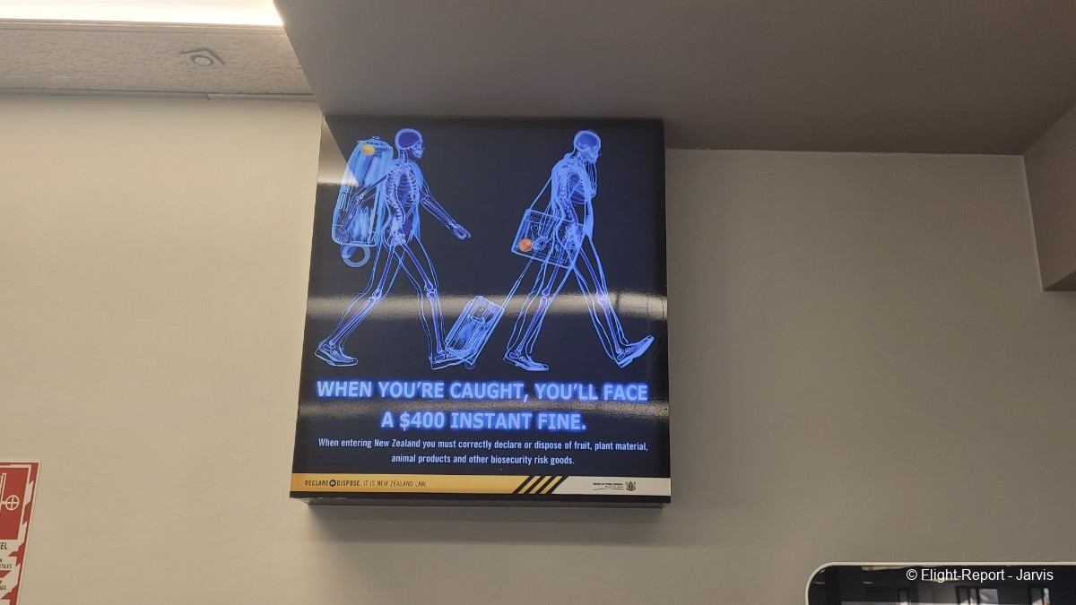 photo 20251031_085907