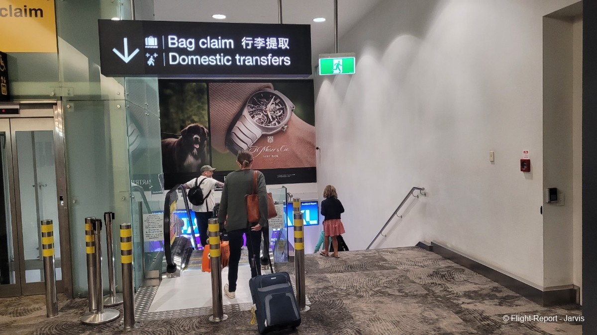 photo 20251031_091248