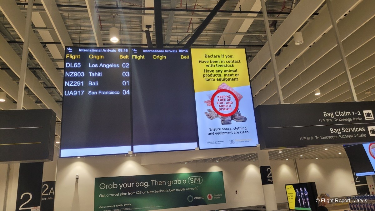 photo 20251101_081625