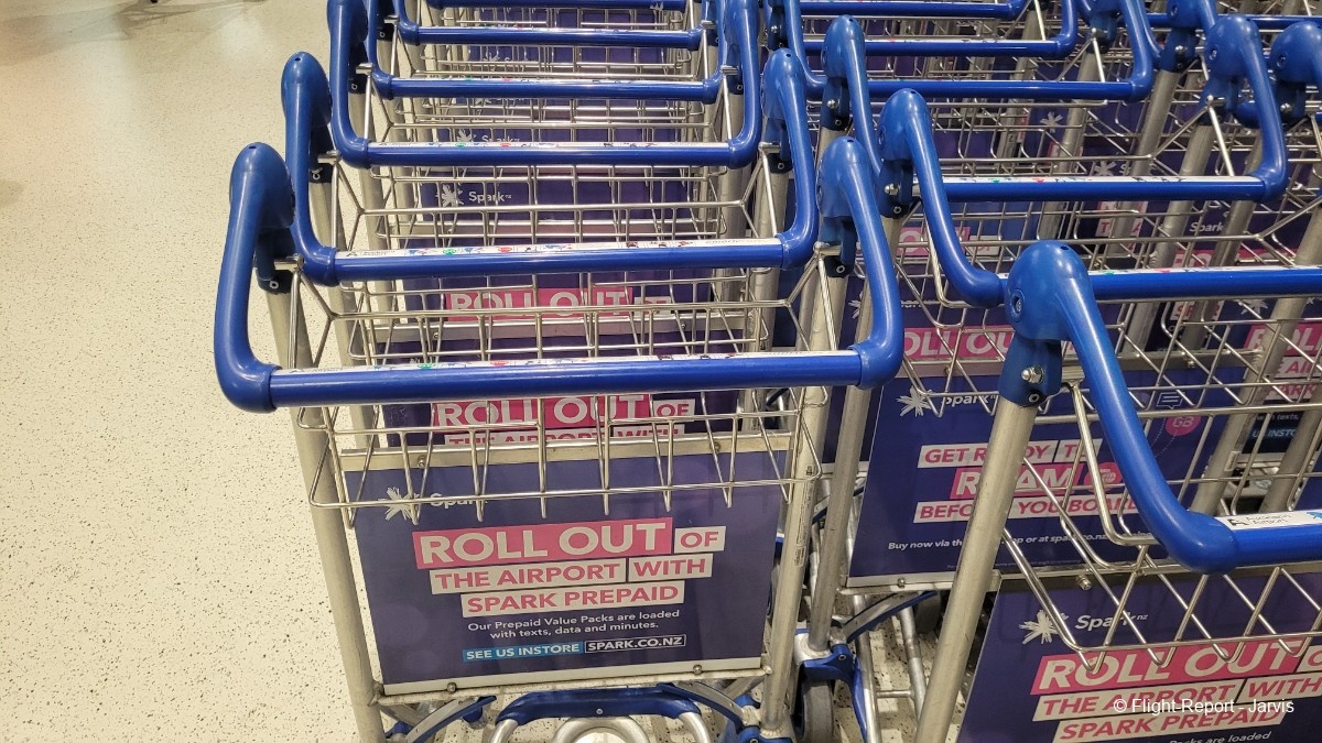 photo 20251101_081656