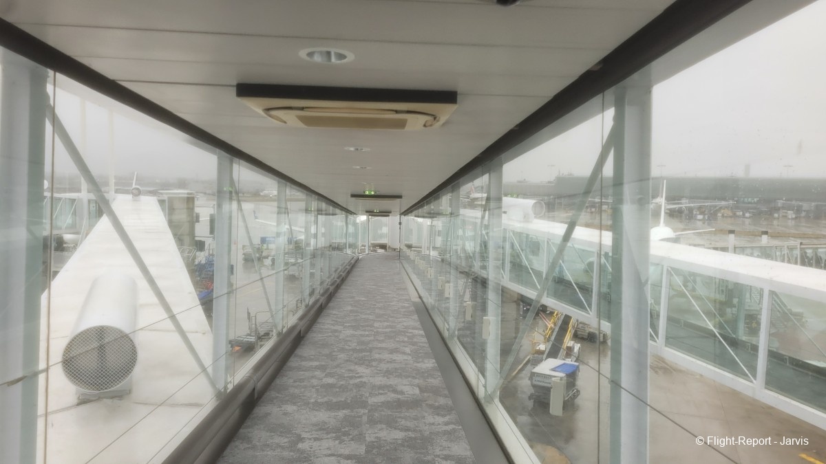 photo 20260218_095724