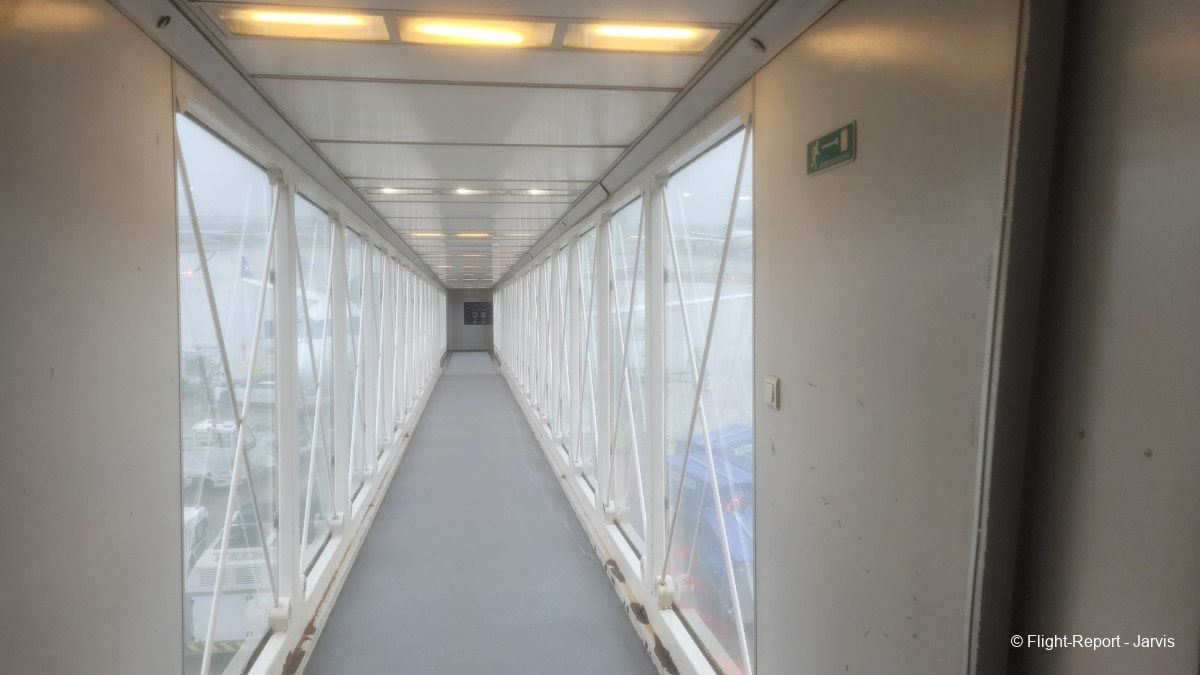 photo 20260218_095753