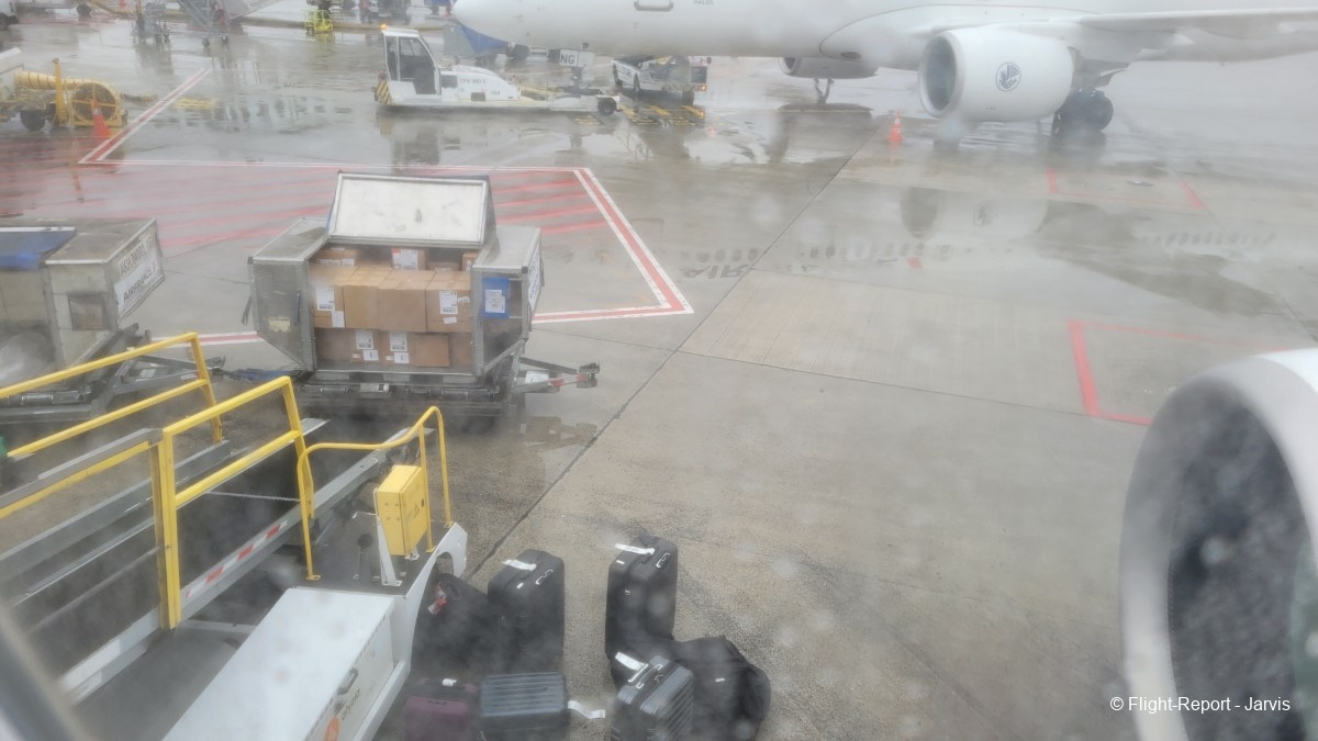 photo 20260218_100206