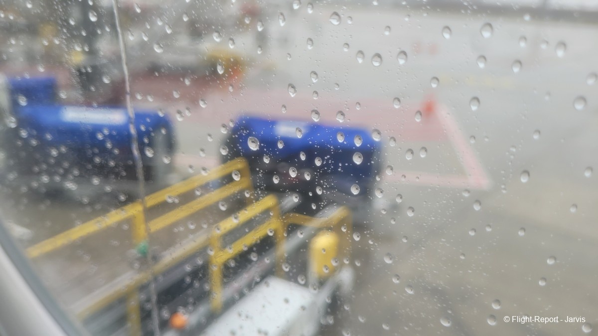 photo 20260218_103625