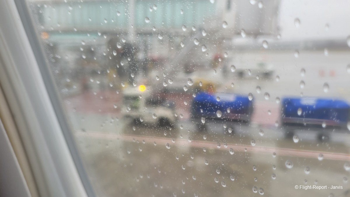 photo 20260218_104501