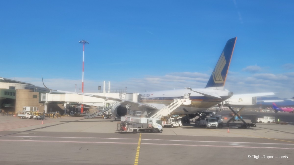 photo 20260218_121004