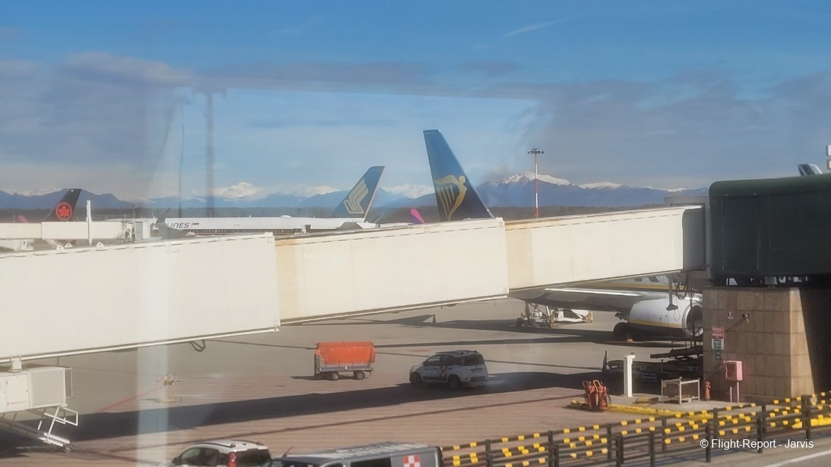 photo 20260218_122731