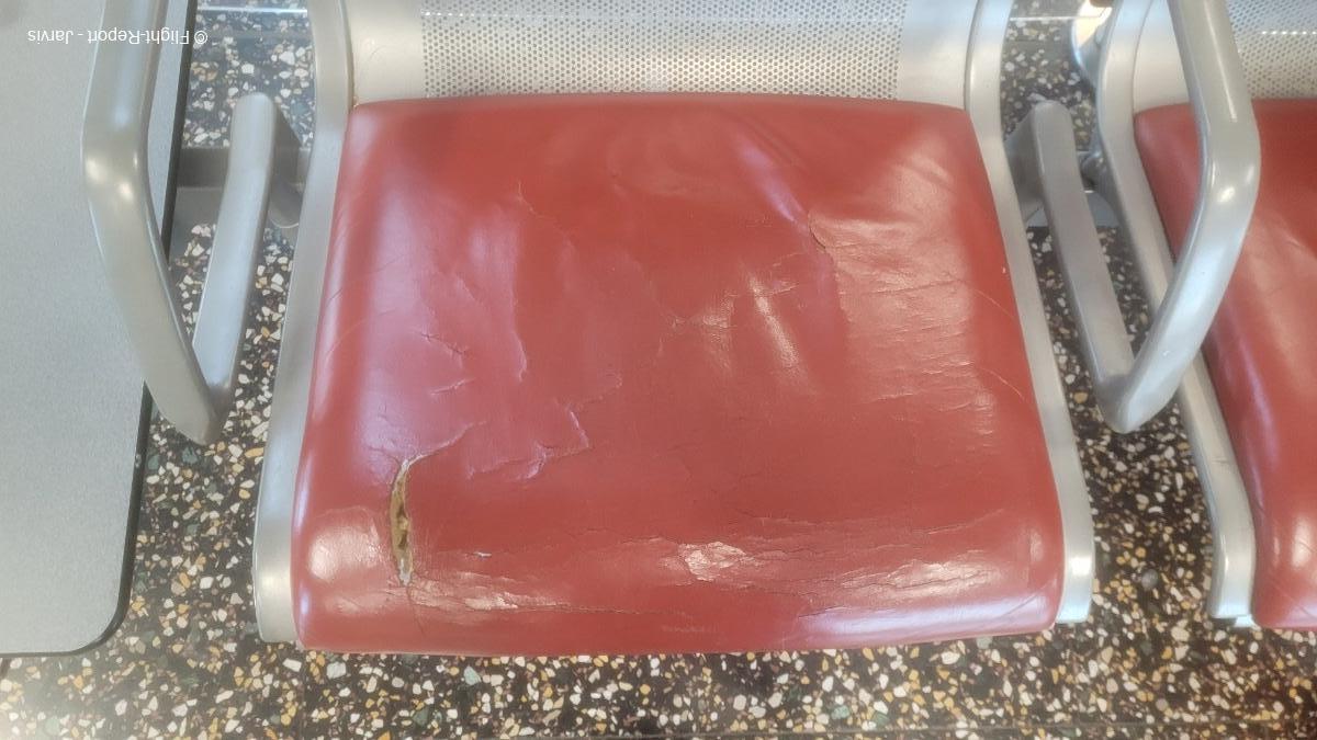 photo 20260218_151535-69439