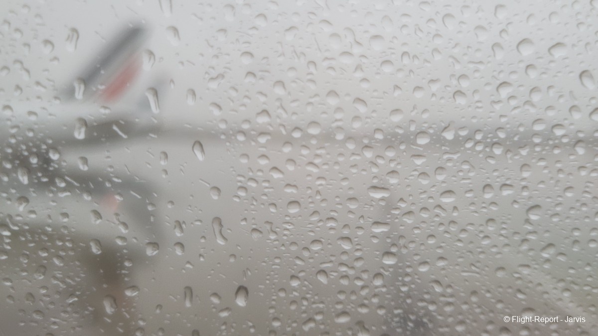 photo 20260218_174435