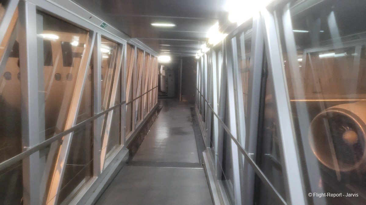 photo 20260218_202414