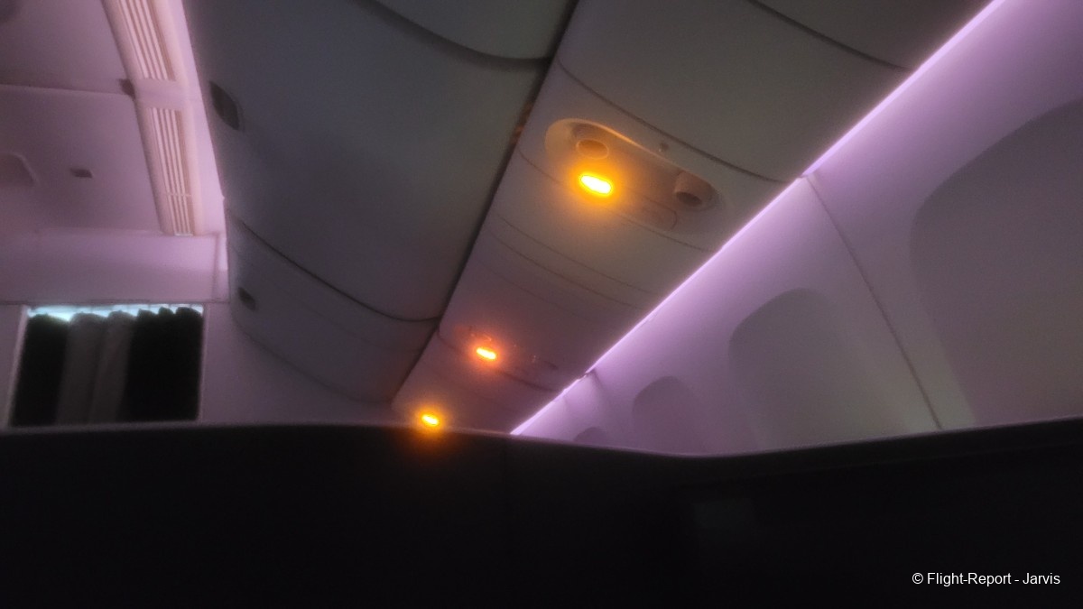 photo 20260219_074438