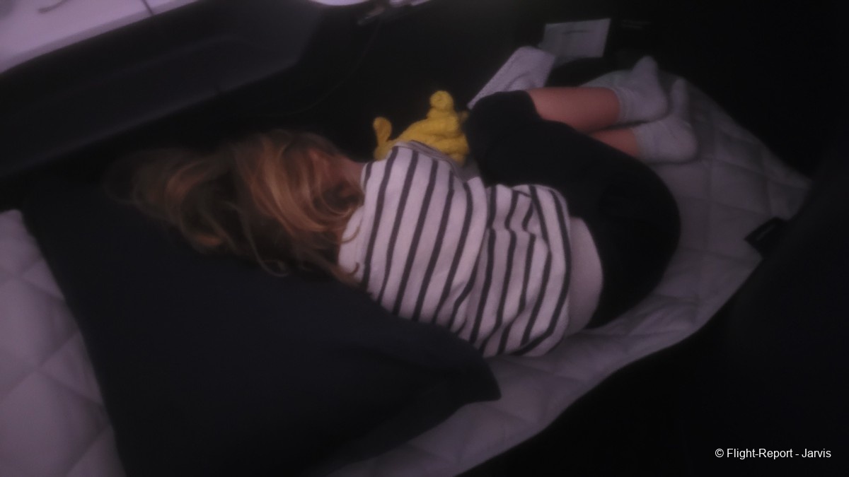 photo 20260219_074545