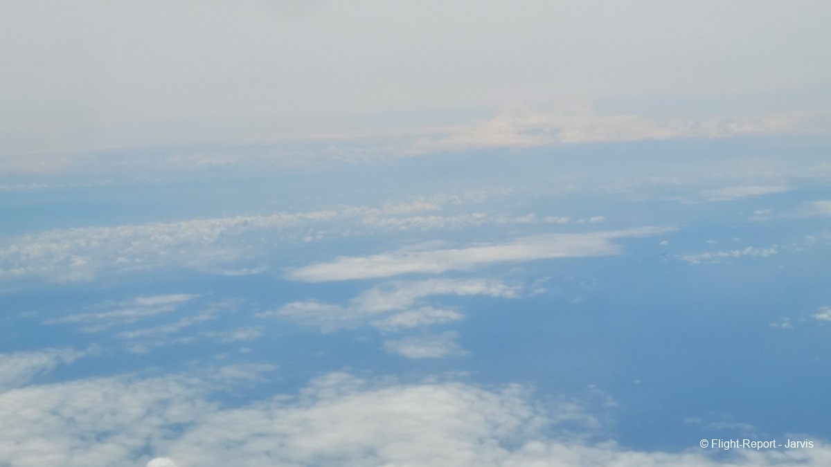 photo 20260219_082238