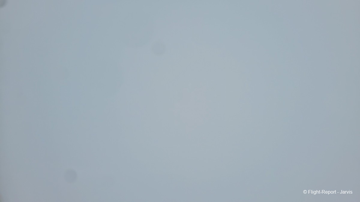 photo 20260219_085433