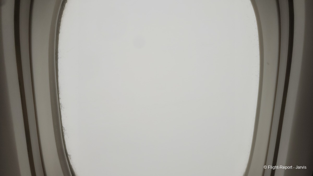 photo 20260219_094811