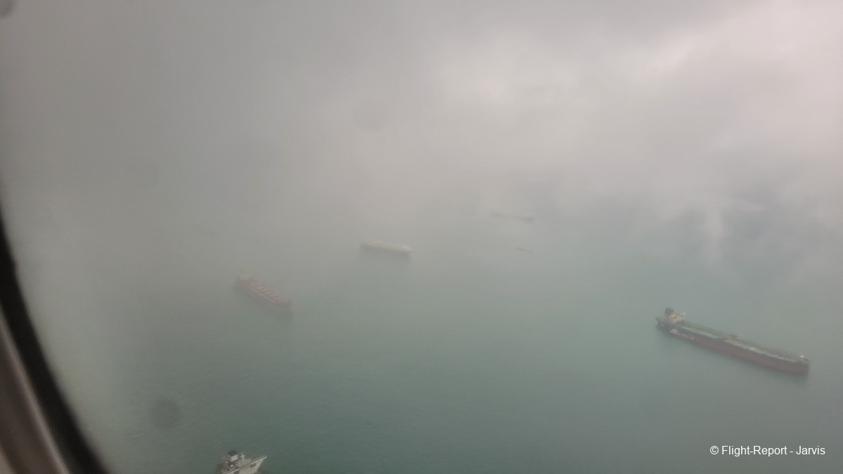 photo 20260219_095741