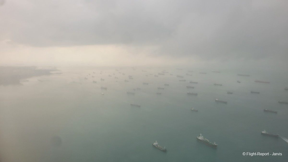 photo 20260219_095825