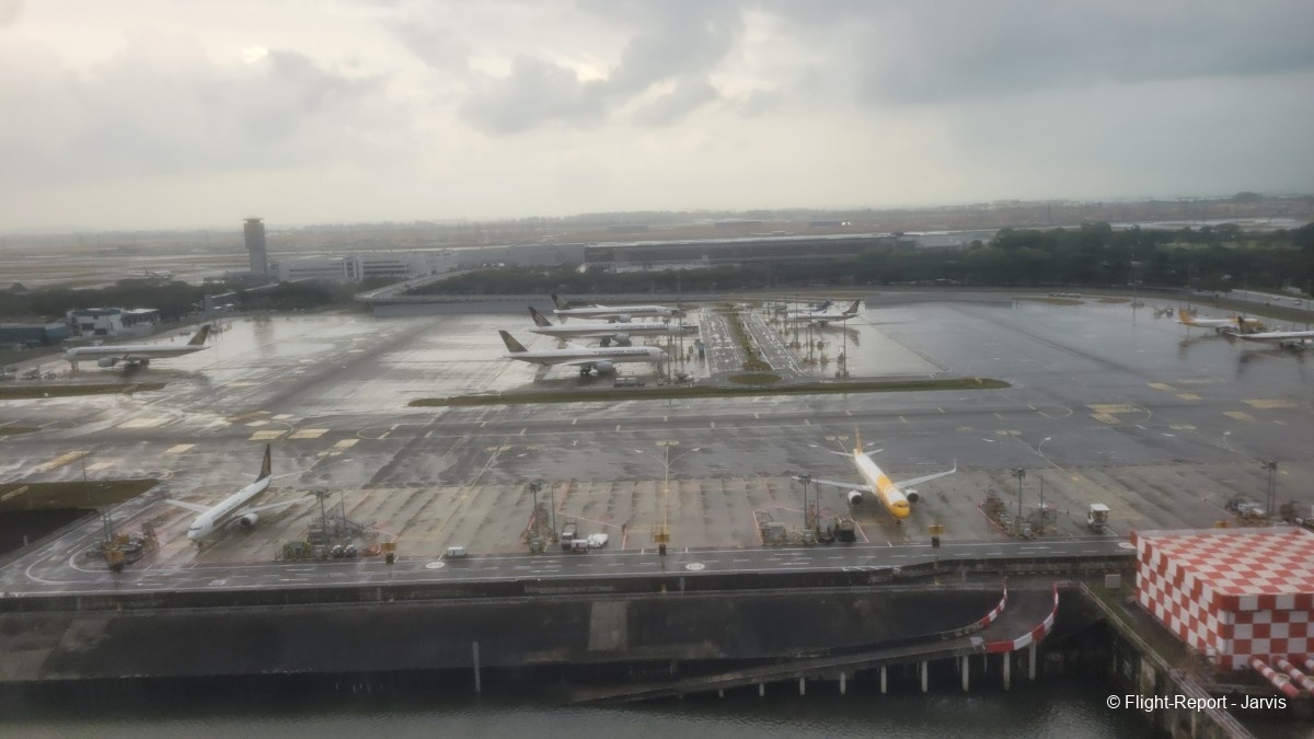 photo 20260219_095919