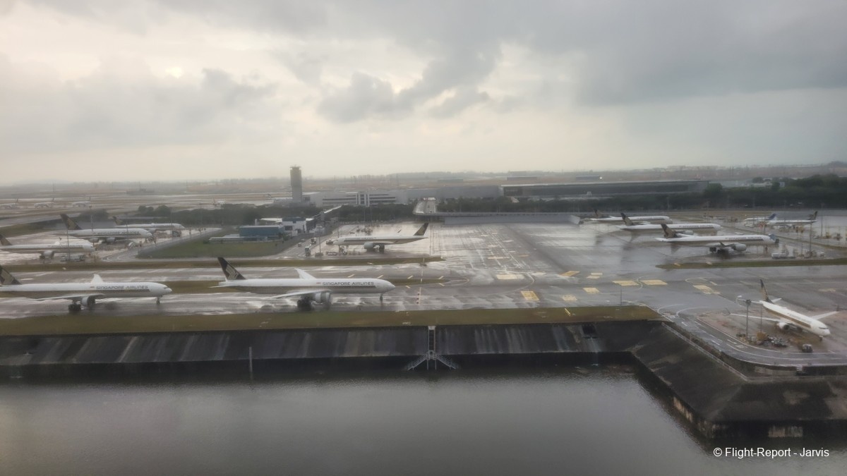 photo 20260219_095922