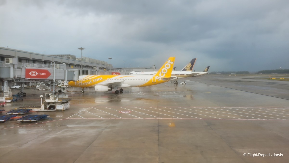 photo 20260219_100334