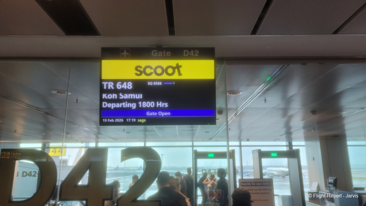 photo 20260219_101915