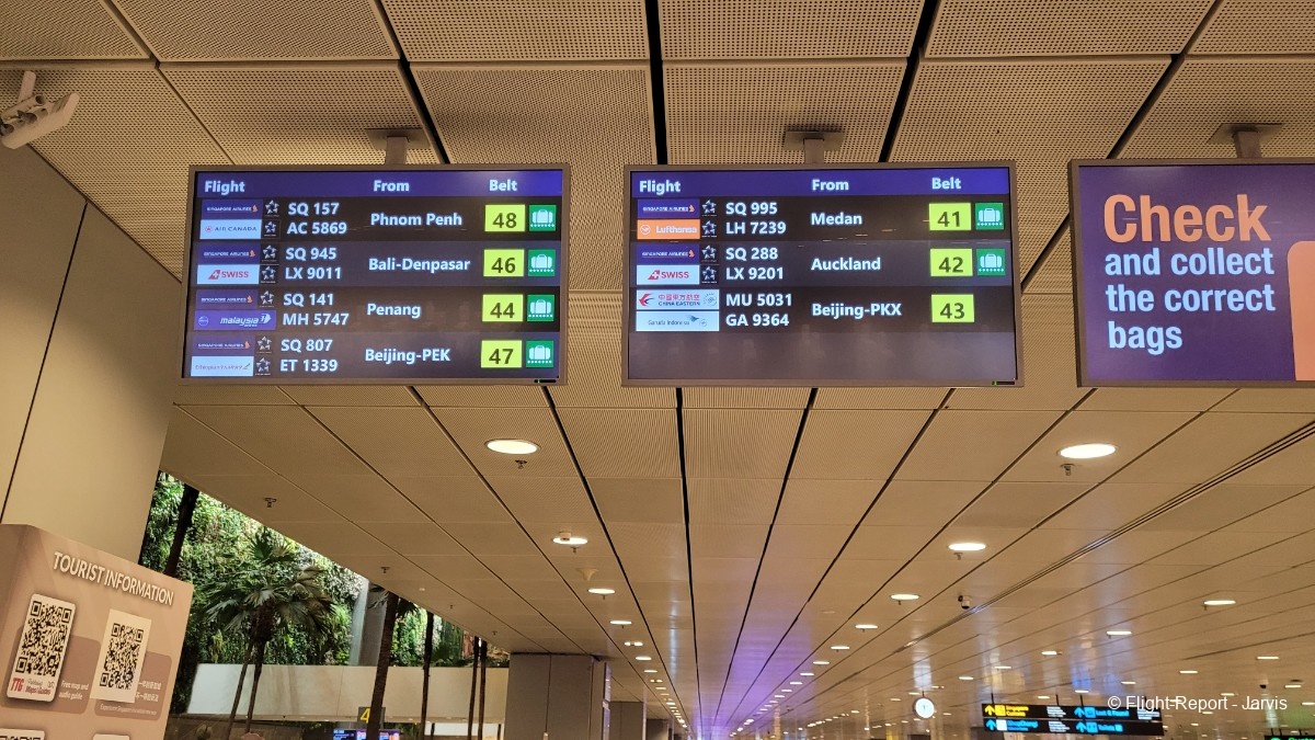 photo 20251103_233420