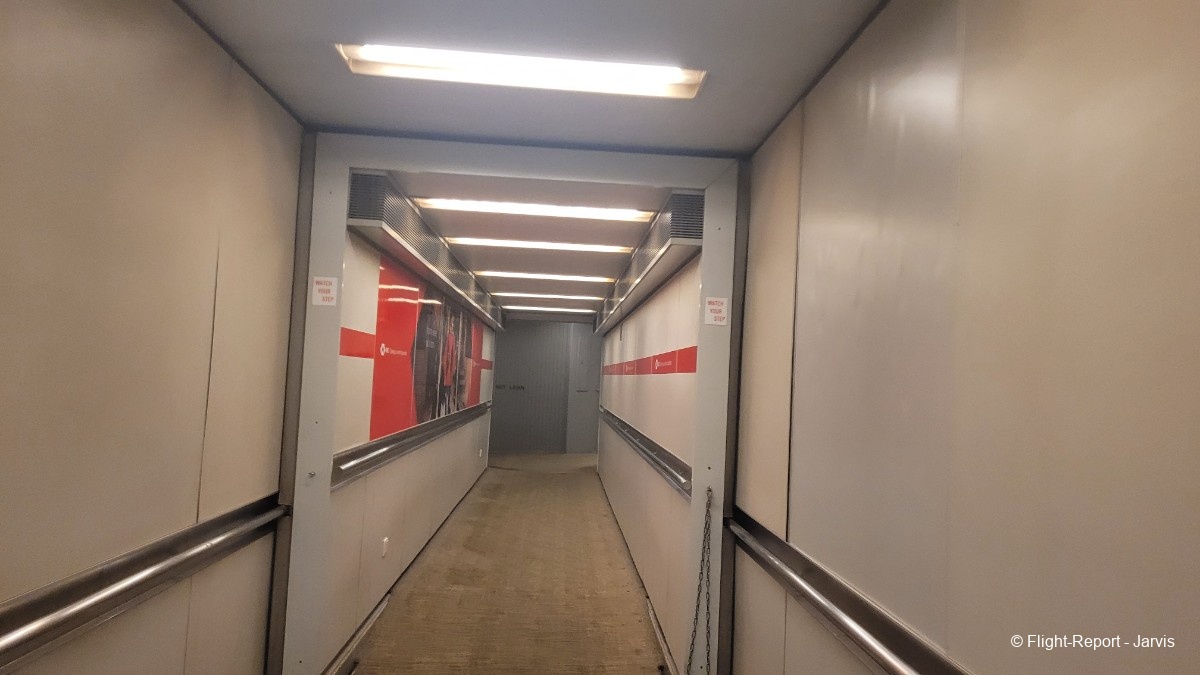 photo 20251104_040640