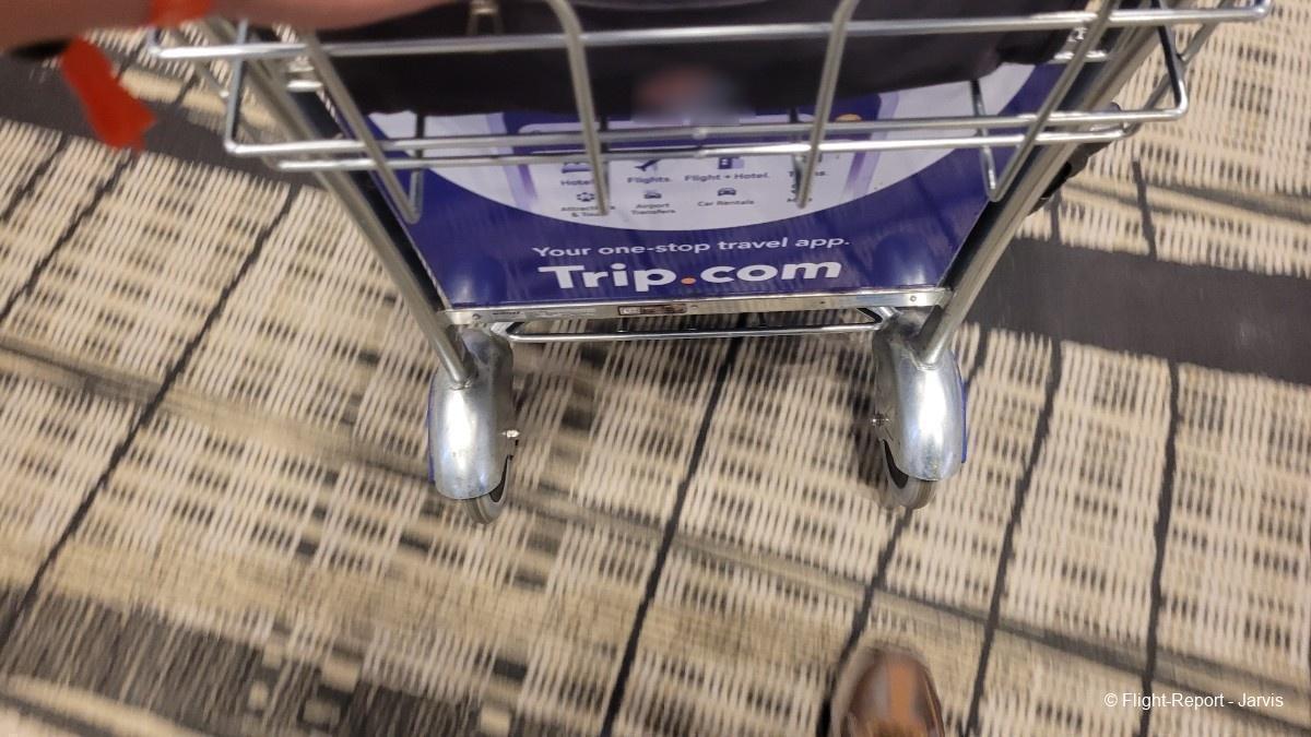 photo 20251104_041805-24108