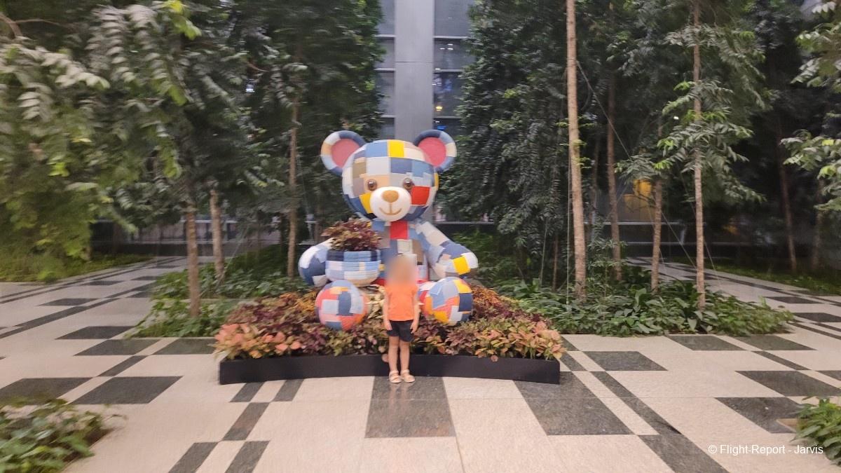 photo 20251104_042023-89055