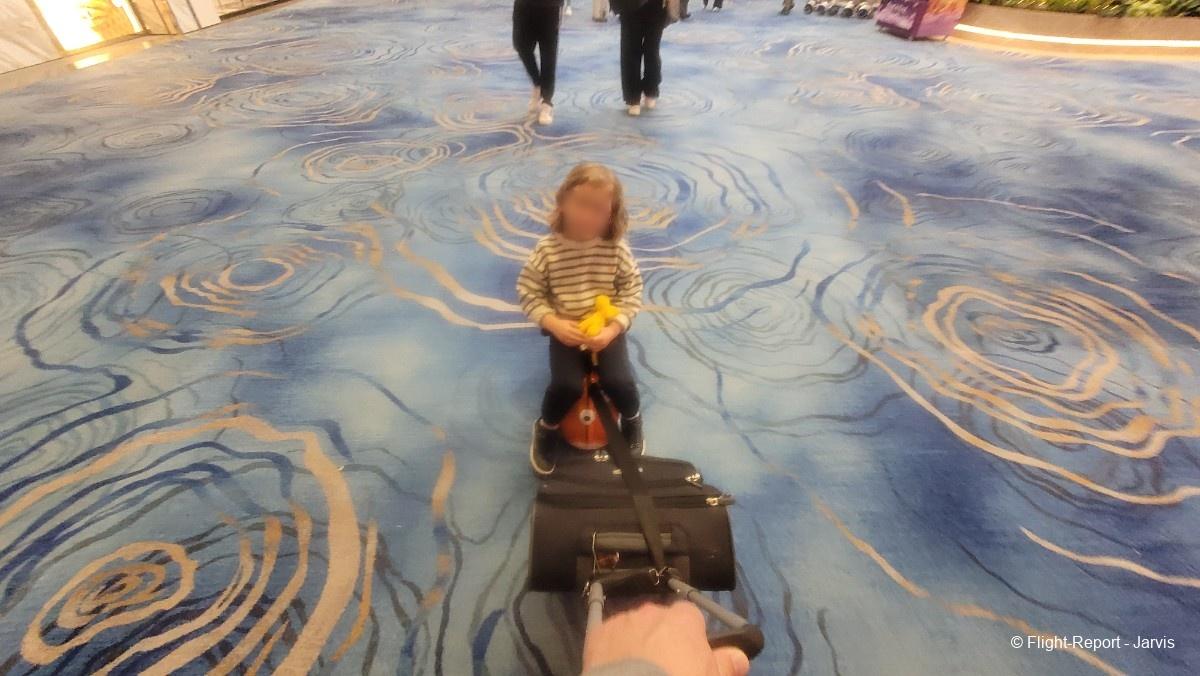 photo 20260219_192133-30101