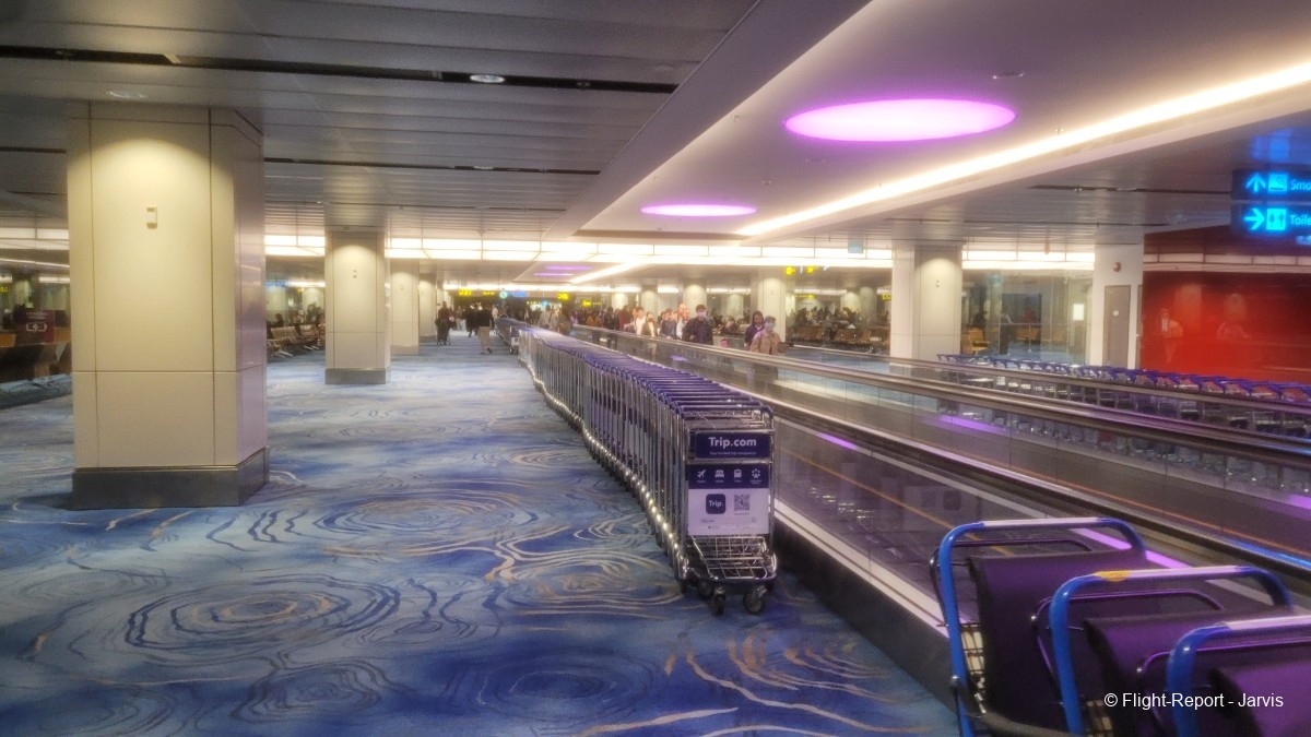 photo 20260219_192628