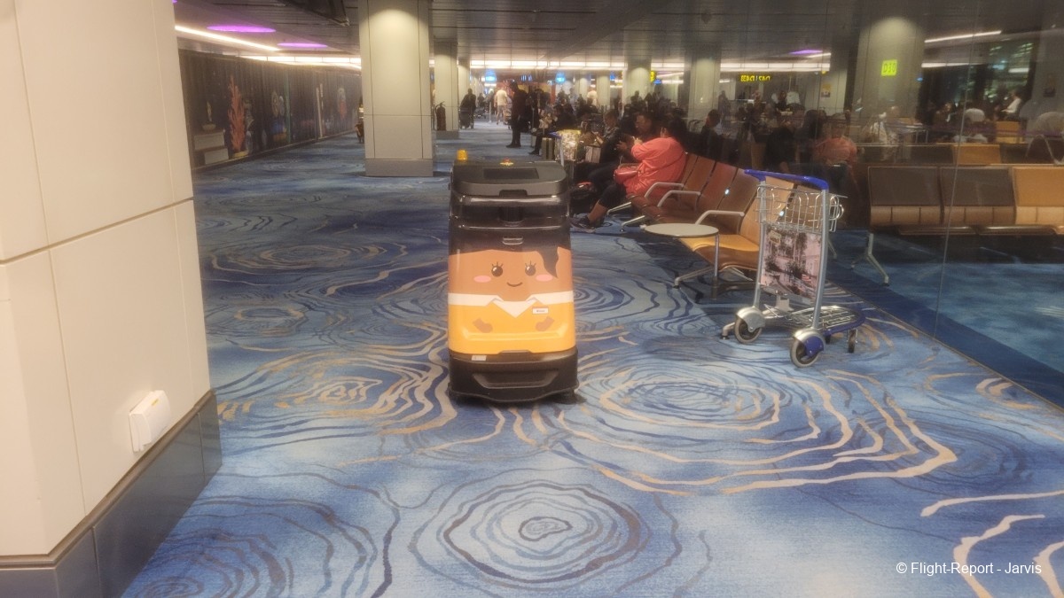 photo 20260219_192655