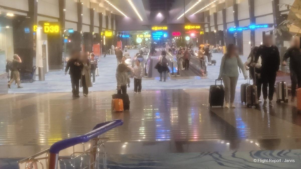 photo 20260219_193356-78142